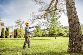 Reliable Cleveland, TX Tree Removal and Landscaping Services Solutions